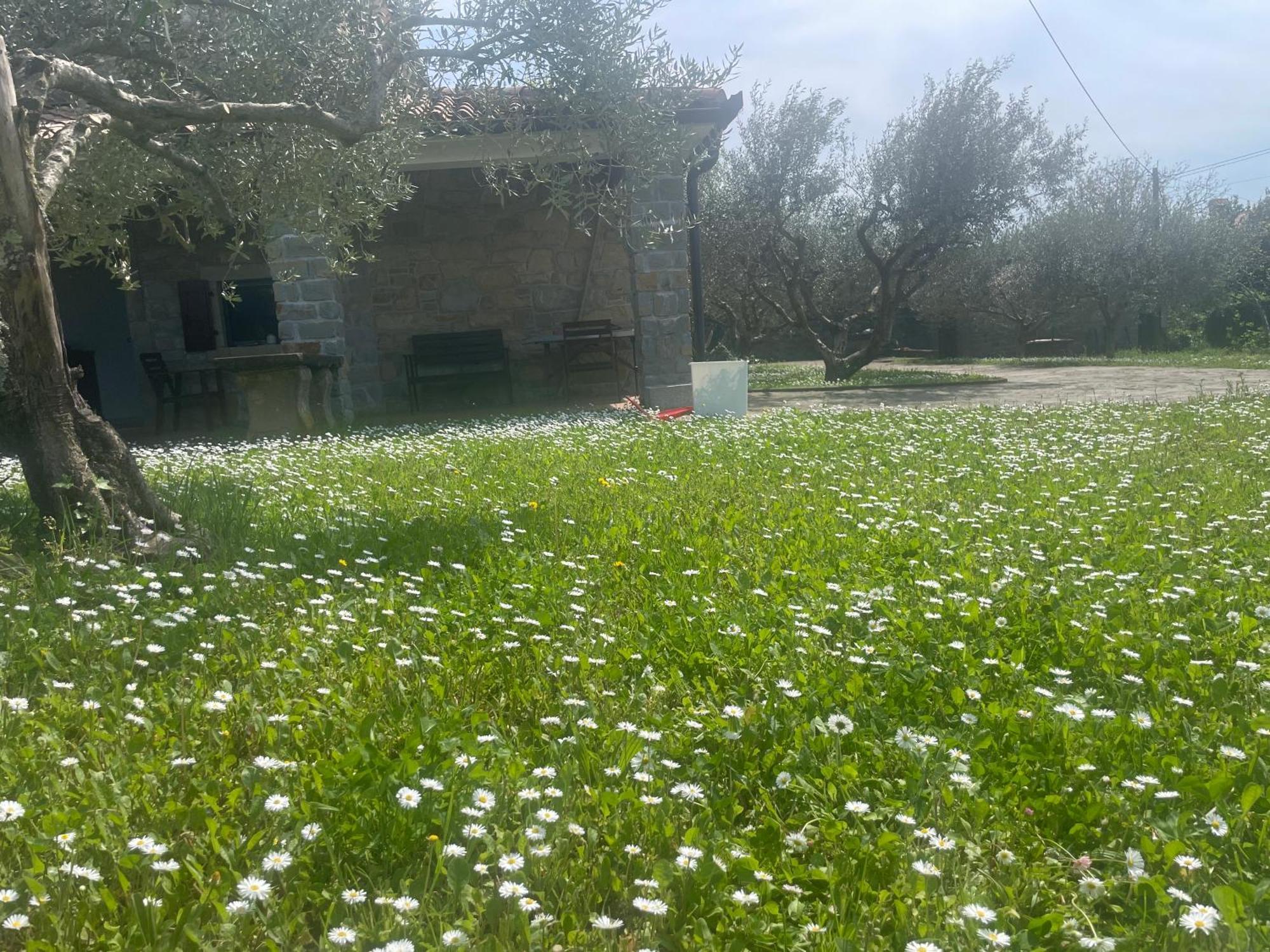 קופר Paradise Villas With Swimming Pool מראה חיצוני תמונה