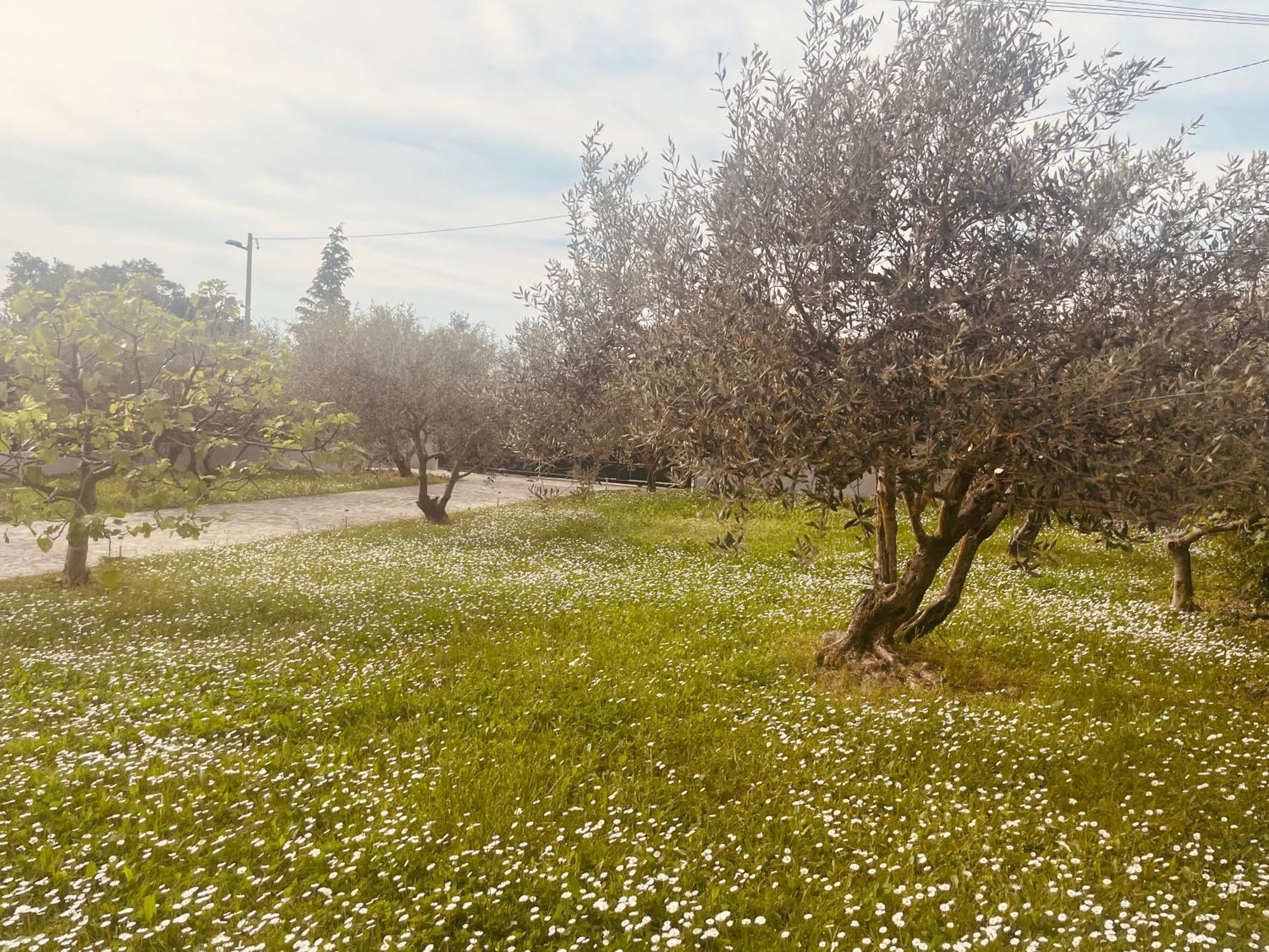 קופר Paradise Villas With Swimming Pool מראה חיצוני תמונה