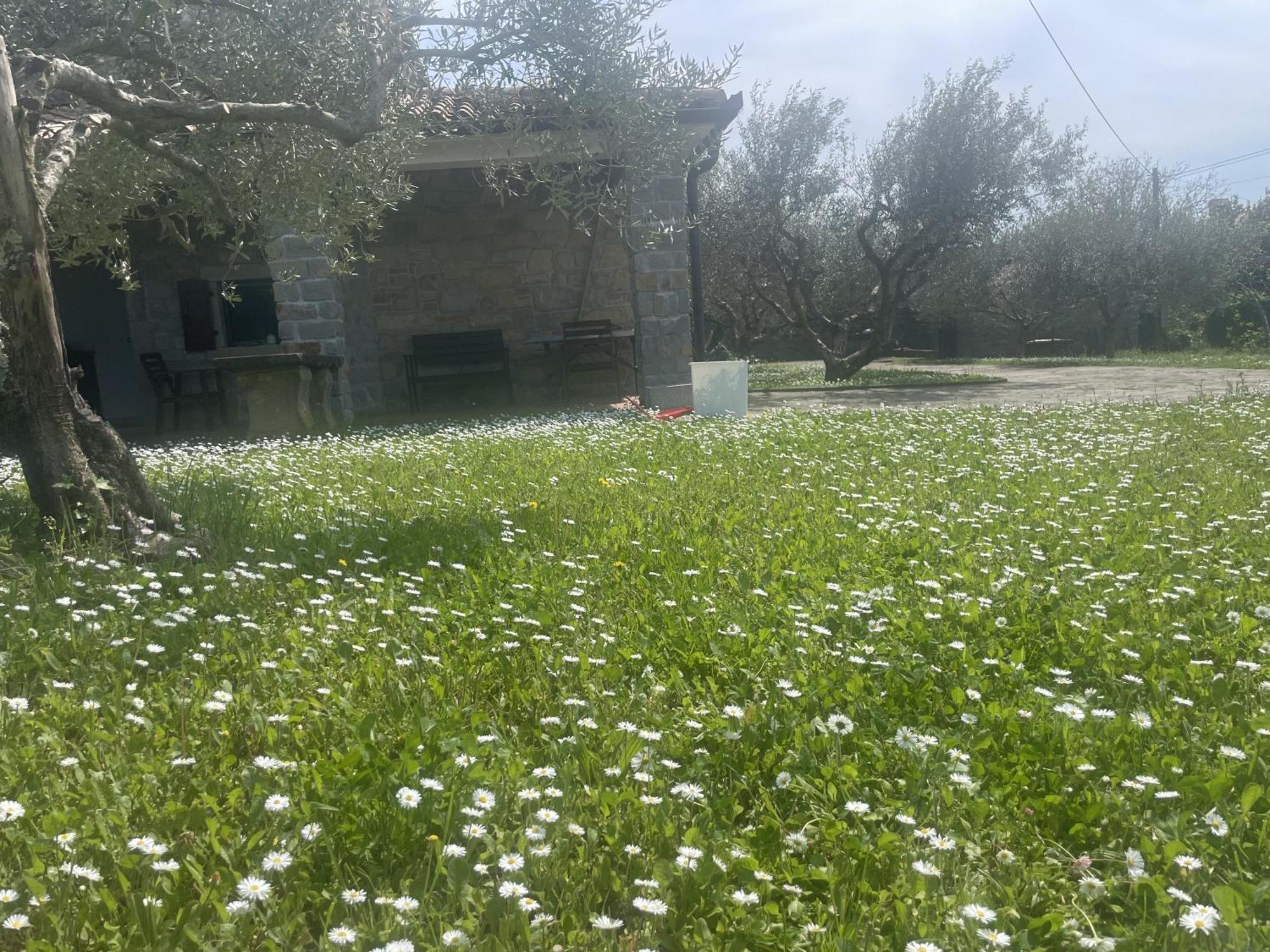 קופר Paradise Villas With Swimming Pool חדר תמונה
