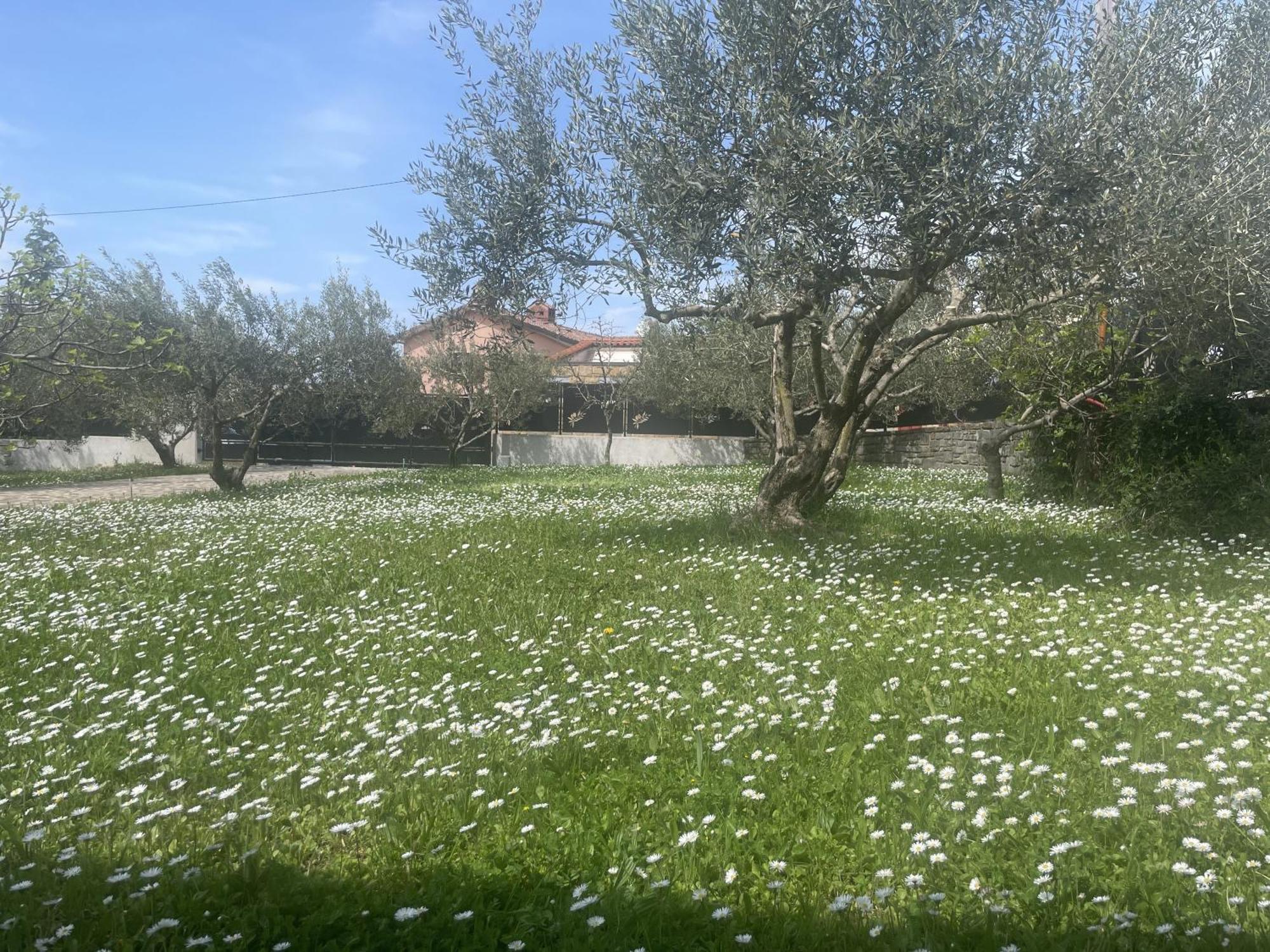 קופר Paradise Villas With Swimming Pool חדר תמונה